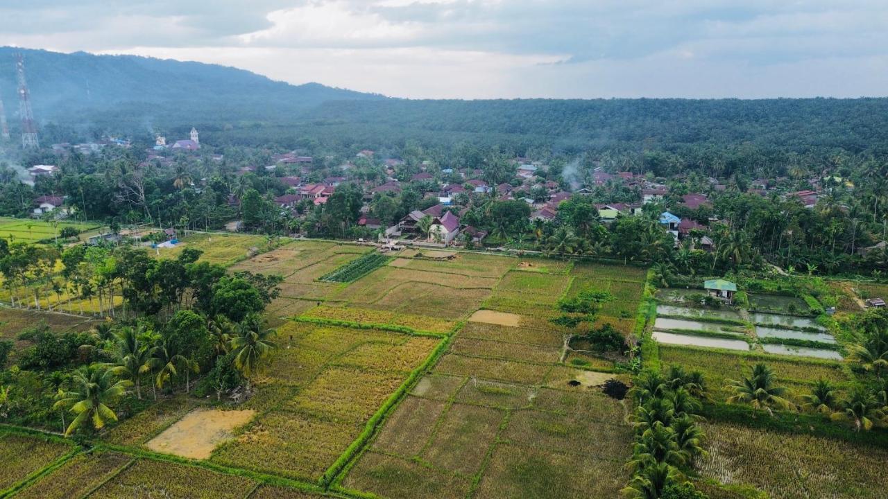 Sumatra Expedition Lodge Bukit Lawang Εξωτερικό φωτογραφία