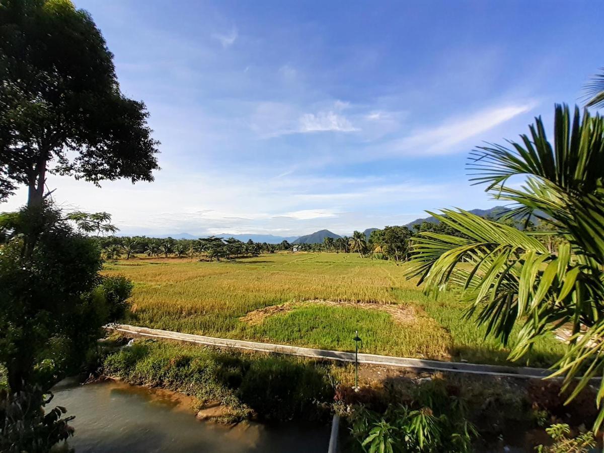 Sumatra Expedition Lodge Bukit Lawang Εξωτερικό φωτογραφία
