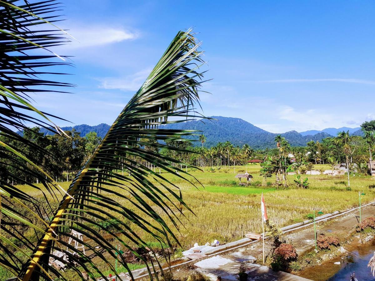 Sumatra Expedition Lodge Bukit Lawang Εξωτερικό φωτογραφία