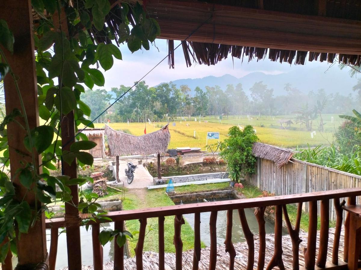 Sumatra Expedition Lodge Bukit Lawang Εξωτερικό φωτογραφία