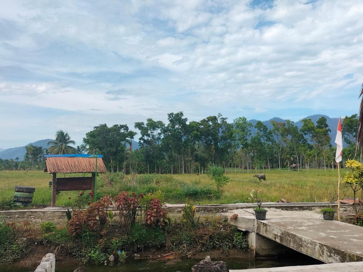 Sumatra Expedition Lodge Bukit Lawang Εξωτερικό φωτογραφία