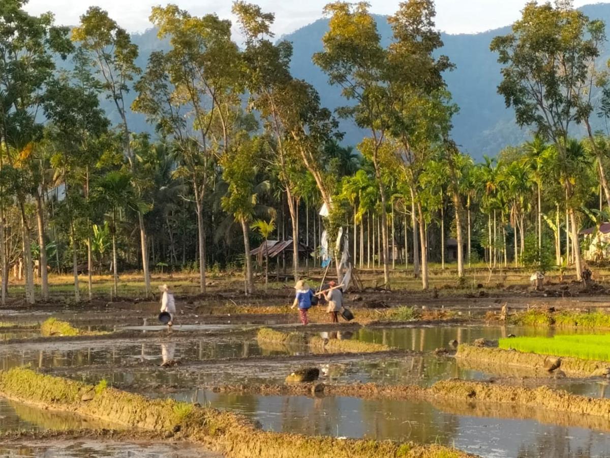 Sumatra Expedition Lodge Bukit Lawang Εξωτερικό φωτογραφία
