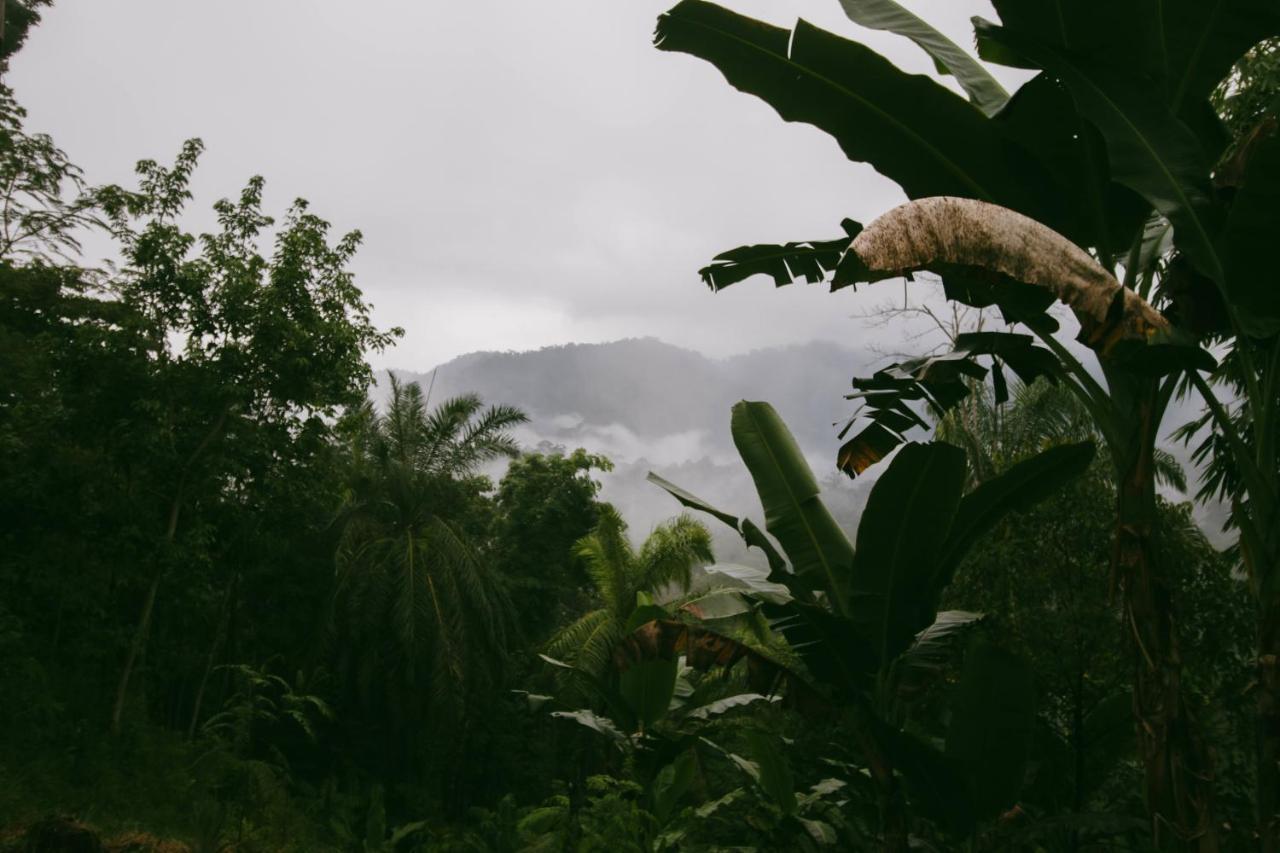 Sumatra Expedition Lodge Bukit Lawang Εξωτερικό φωτογραφία
