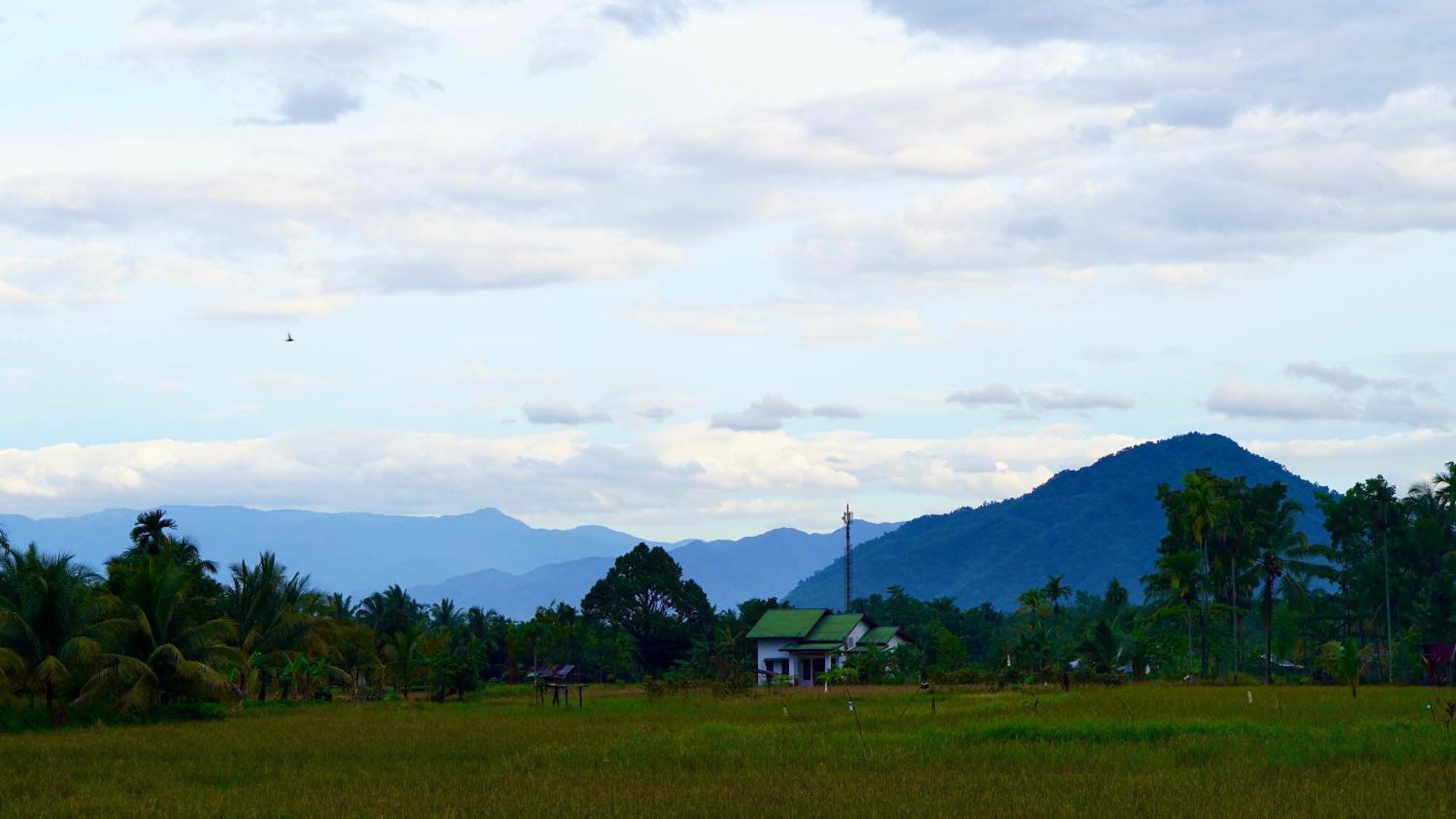 Sumatra Expedition Lodge Bukit Lawang Εξωτερικό φωτογραφία