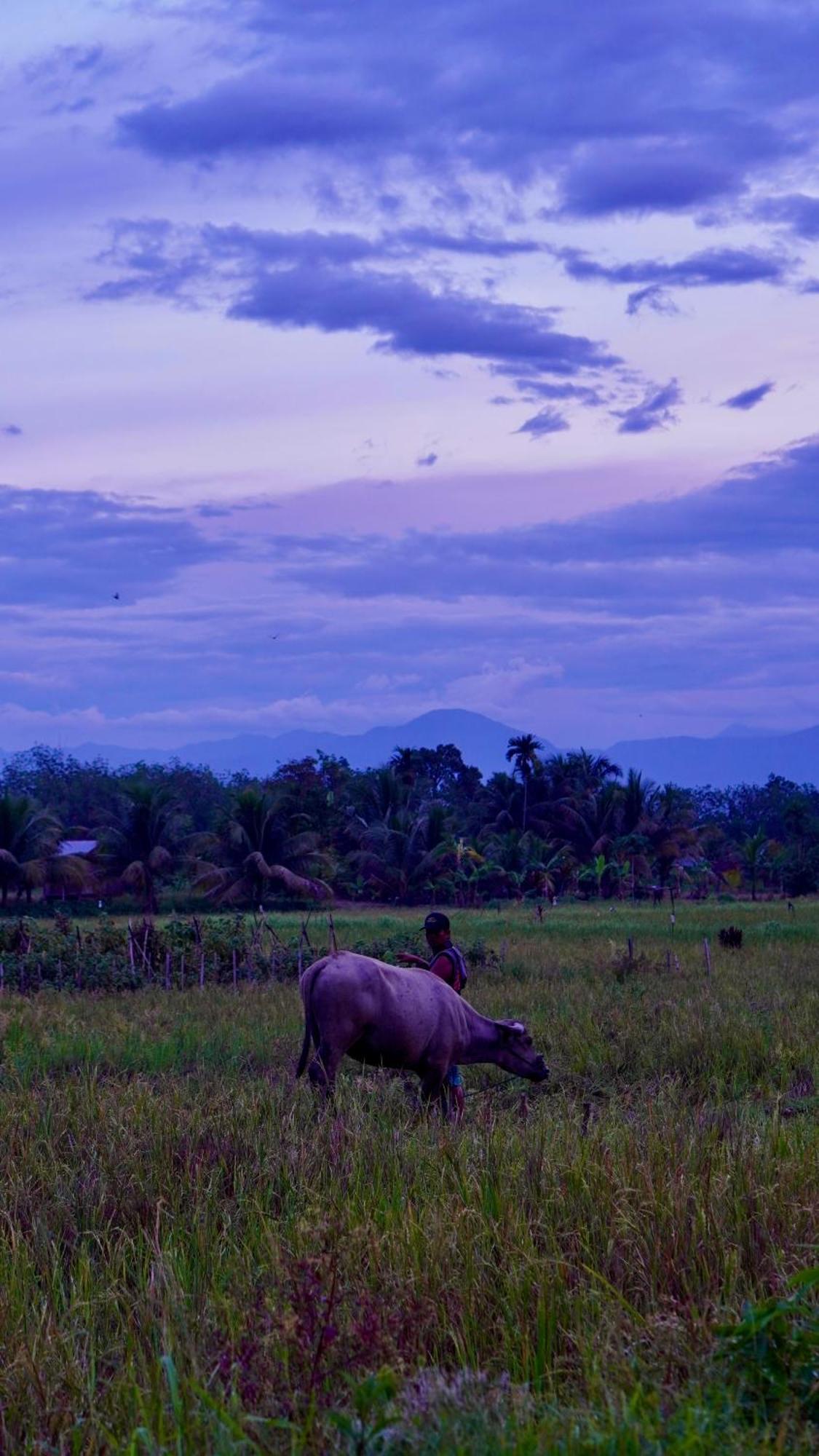 Sumatra Expedition Lodge Bukit Lawang Εξωτερικό φωτογραφία