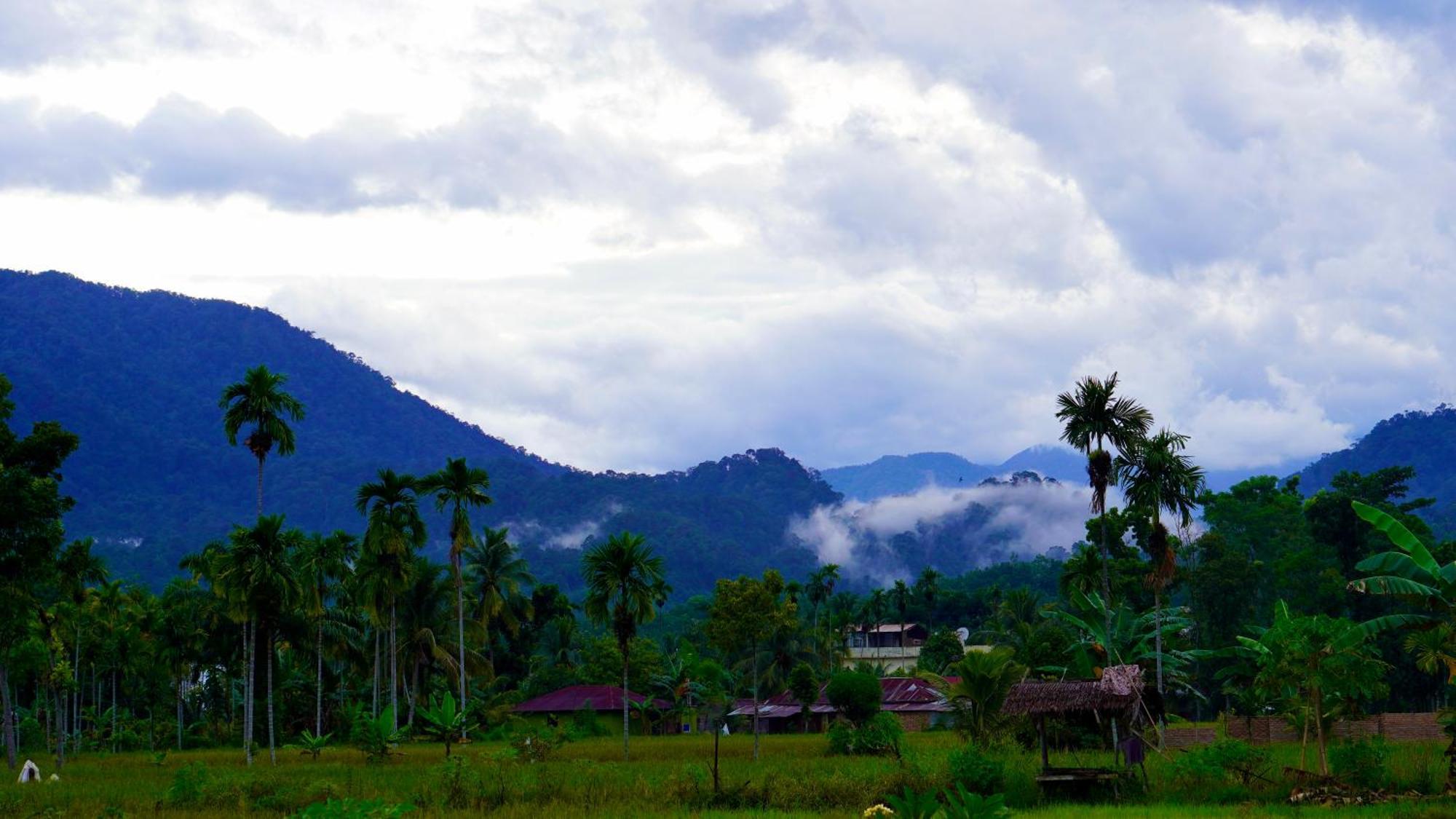 Sumatra Expedition Lodge Bukit Lawang Εξωτερικό φωτογραφία