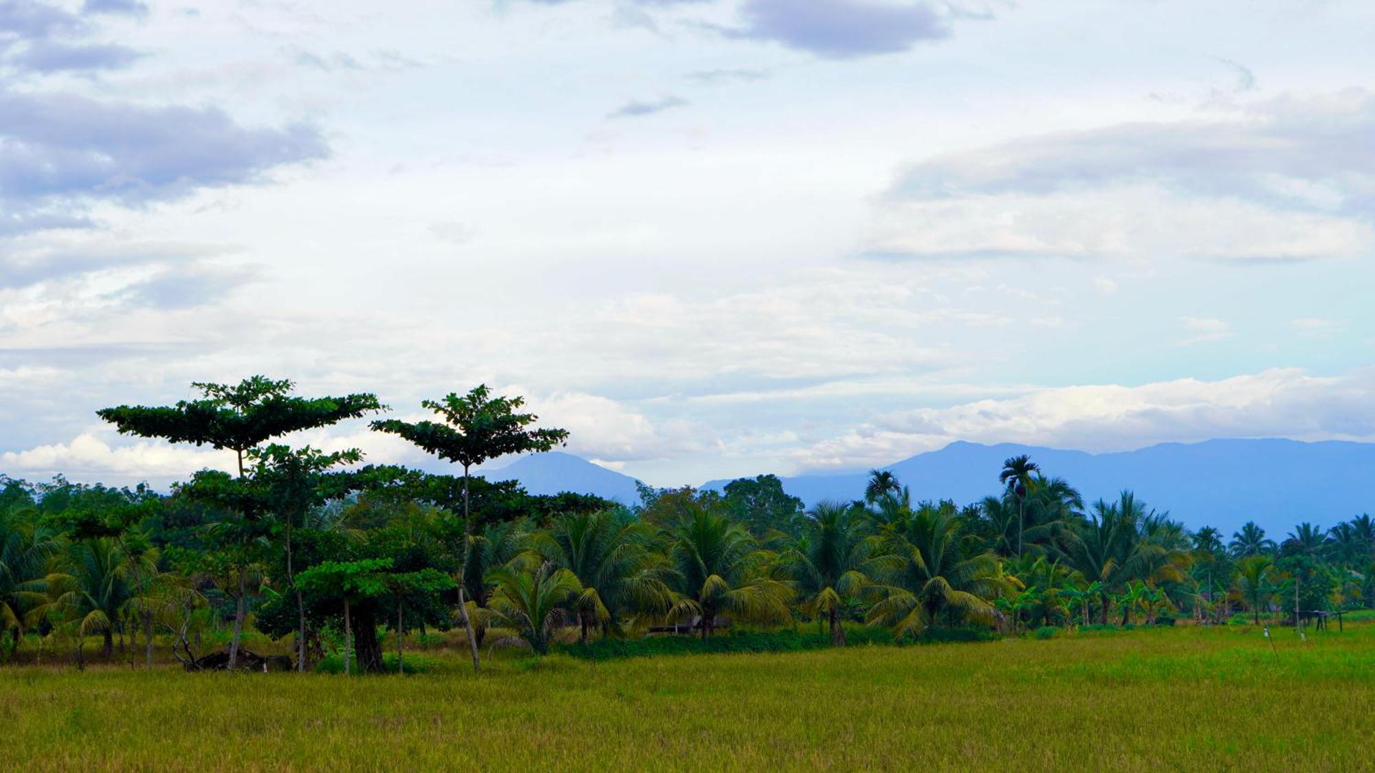 Sumatra Expedition Lodge Bukit Lawang Εξωτερικό φωτογραφία