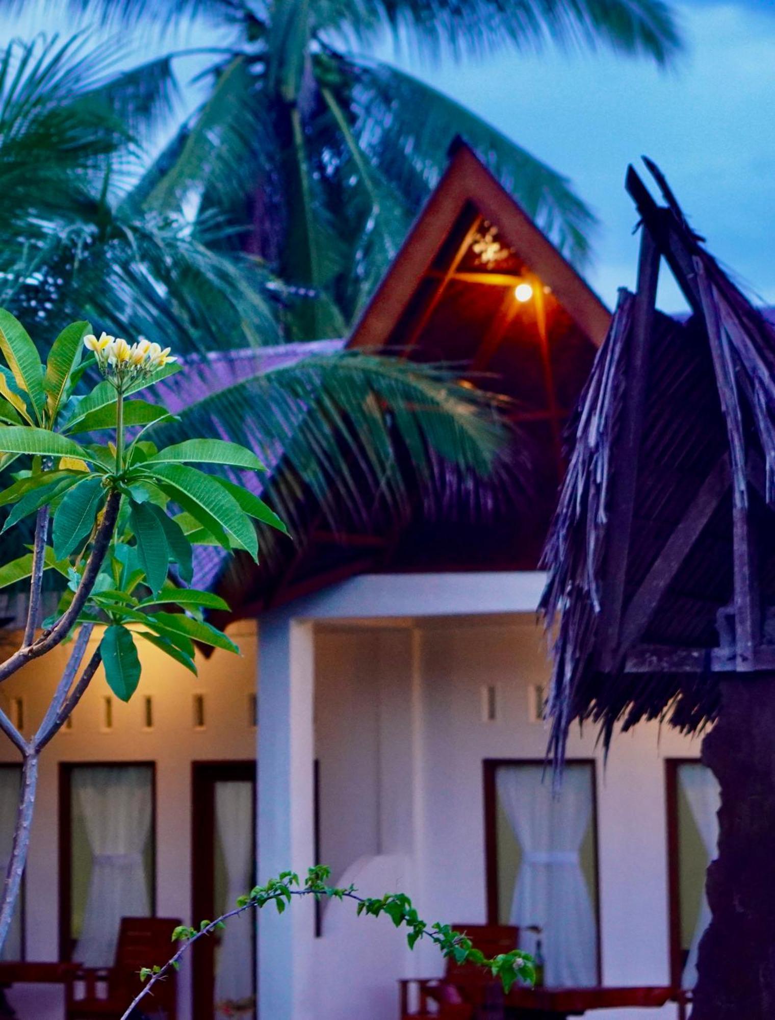 Sumatra Expedition Lodge Bukit Lawang Εξωτερικό φωτογραφία
