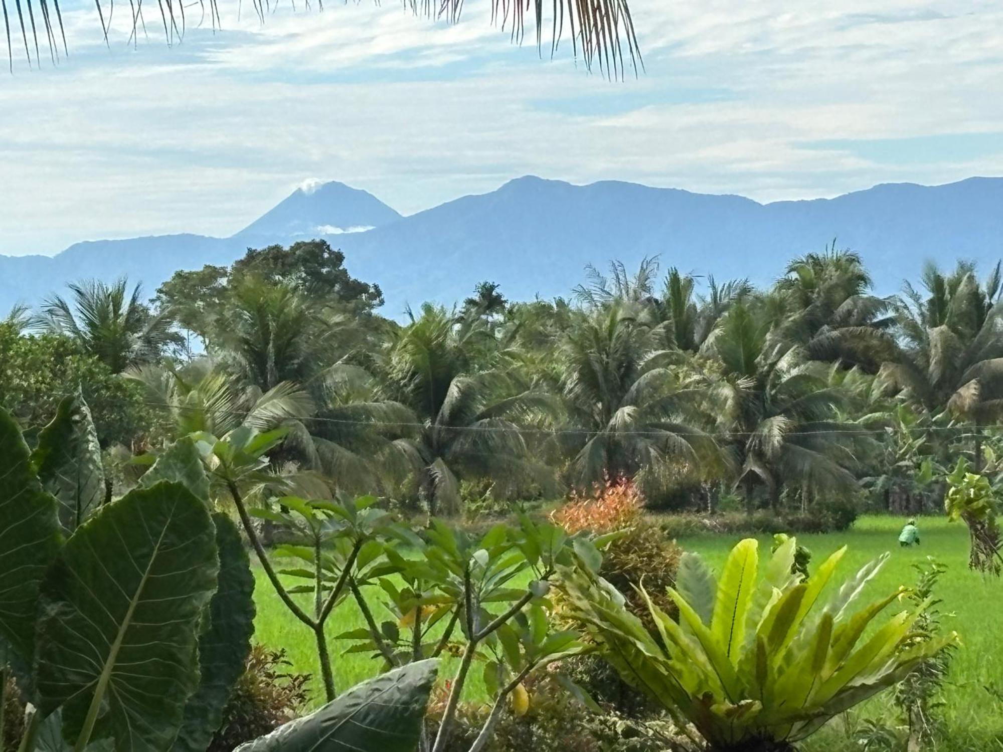Sumatra Expedition Lodge Bukit Lawang Εξωτερικό φωτογραφία