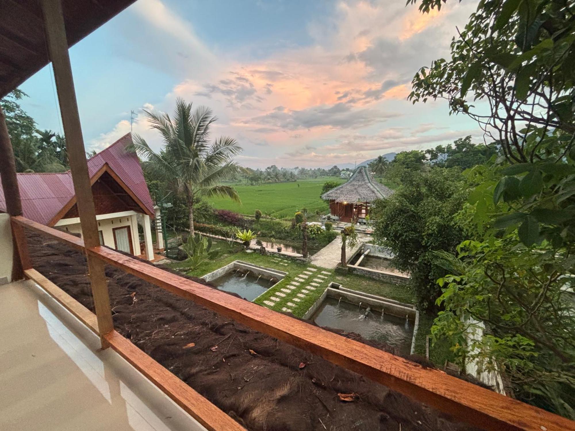 Sumatra Expedition Lodge Bukit Lawang Εξωτερικό φωτογραφία